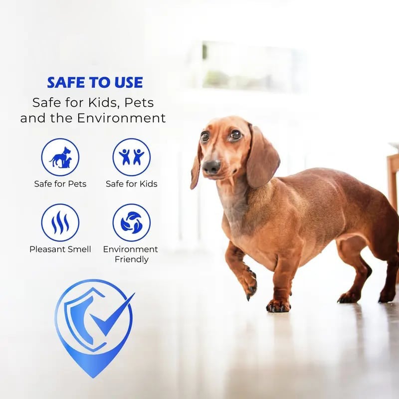 ✨🧴 Clean-llx Floor Restorer – Shine & Protect Instantly 🏠-3