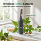 ✨ ¡OFERTA LIMITADA 50% DE DESCUENTO! 🌿 Tinte de Cabello de Origen Vegetal con Peine – Fácil, Cobertura de Canas, Fórmula Nutritiva ✨